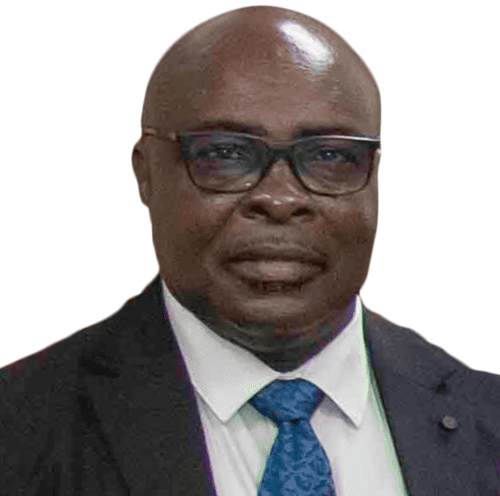 Mr. Innocent Haligah _Chief Director, MLNR