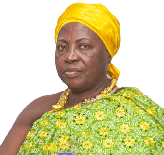 Nana Afua Esiwai_Ministry of Finance Rep